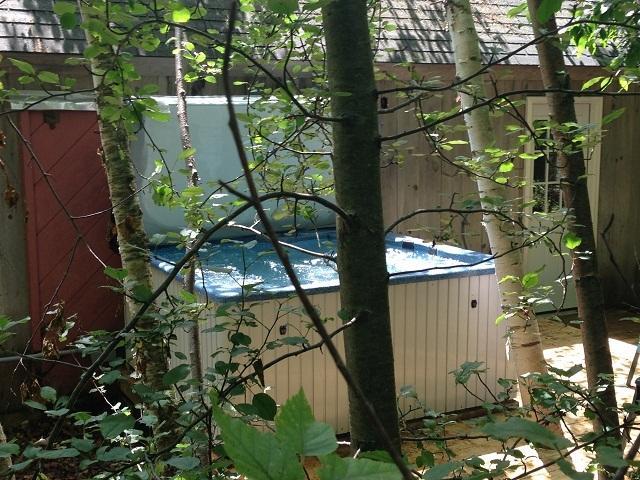 White Mountain Experience Hotel Jackson Kamer foto